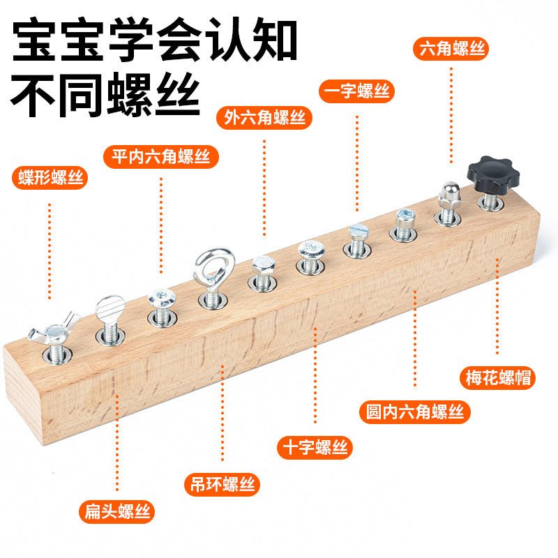 Montessori Wooden Screw Driver Board & Nut Assembly Toy